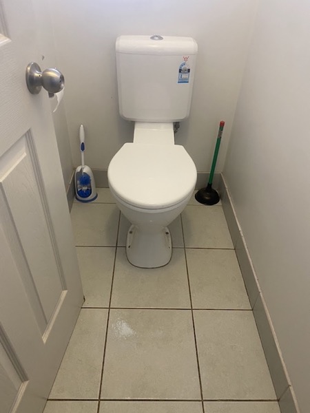 A toilet with a brush and plunger standing on the tiles