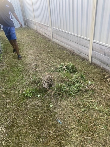 A cleaner clearing cut grass along a fence line in a back yard